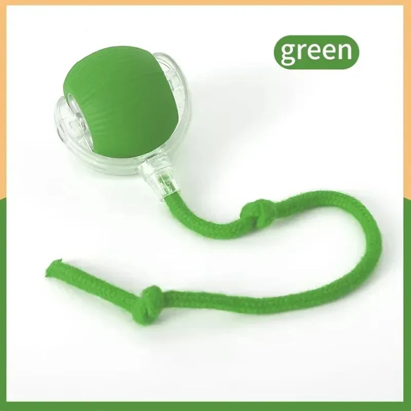 The Funnest Smart Pet Toy!