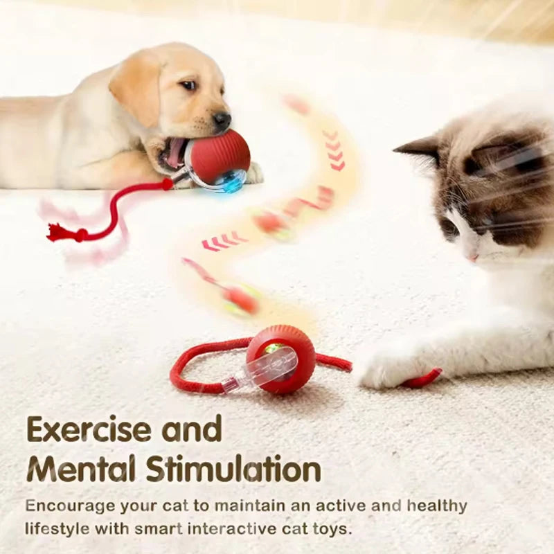 The Funnest Smart Pet Toy!