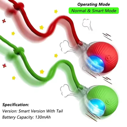 The Funnest Smart Pet Toy!