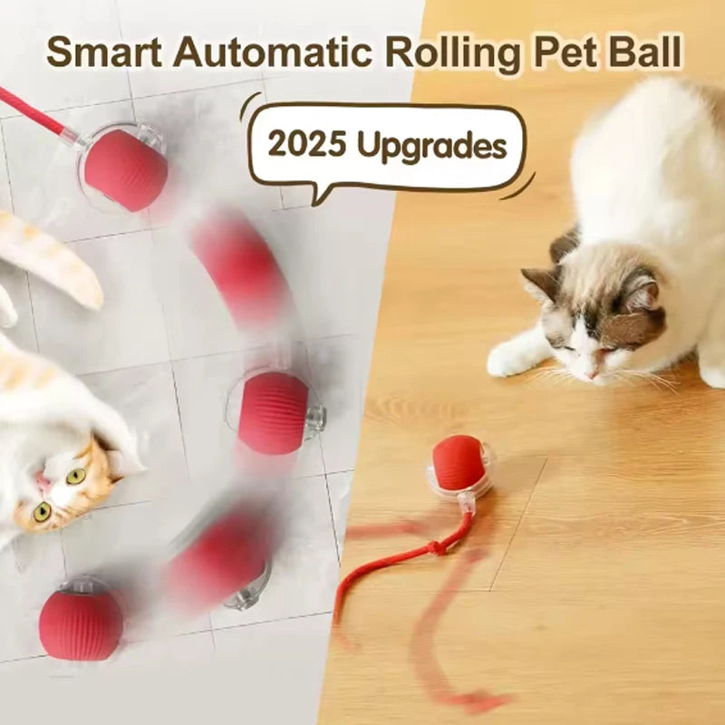 The Funnest Smart Pet Toy!