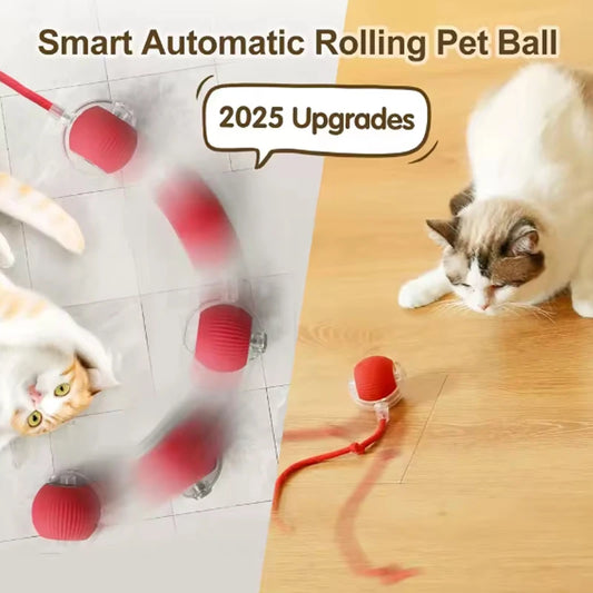 The Funnest Smart Pet Toy!