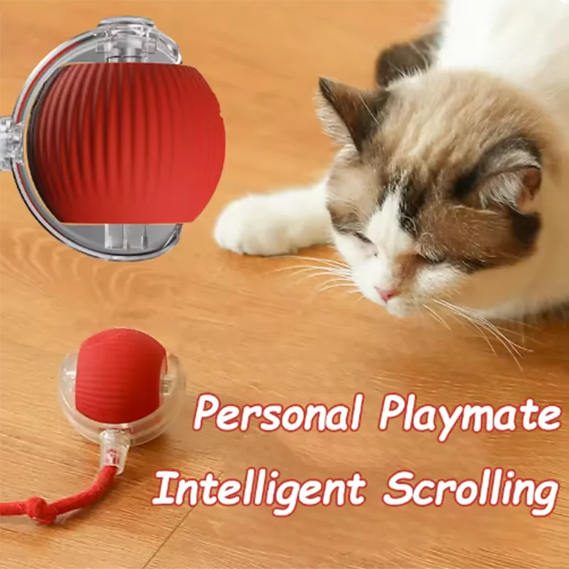 The Funnest Smart Pet Toy!